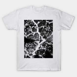 View into the trees - abstract tree texture T-Shirt